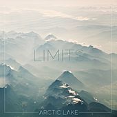 Image of Arctic Lake linking to their artist page due to link from them being at the top of the main table on this page