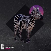 Thumbnail for the Paul Strive - Linar link, provided by host site