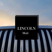 Image of Mule linking to their artist page due to link from them being at the top of the main table on this page