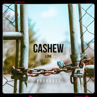 Thumbnail for the Cashew - Link link, provided by host site