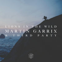Thumbnail for the Martin Garrix - Lions in the Wild link, provided by host site