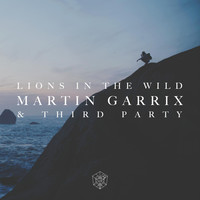 Thumbnail for the Martin Garrix - Lions in the Wild link, provided by host site