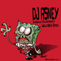 Thumbnail for the Dj Asney - Liquid Element link, provided by host site