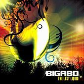 Image of Bigabo linking to their artist page due to link from them being at the top of the main table on this page