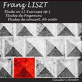 Thumbnail for the Claudio Colombo - Liszt: Etudes link, provided by host site
