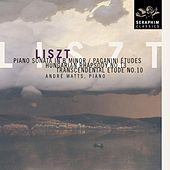Thumbnail for the Andre Watts - Liszt: Piano Recital link, provided by host site