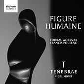 Thumbnail for the James Sherlock - Litanies a la Vierge Noire link, provided by host site