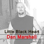 Thumbnail for the Dan Marshall - Little Black Heart link, provided by host site