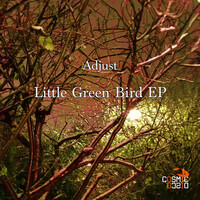Thumbnail for the Adjust - Little Green Bird link, provided by host site