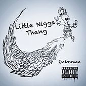 Thumbnail for the The Unknown - Little Nigga Thang link, provided by host site