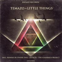 Thumbnail for the Temazo - Little Things - The Flashback Project Remix link, provided by host site
