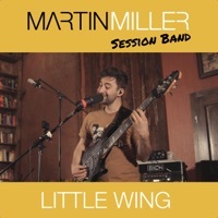 Thumbnail for the Martin Miller - Little Wing link, provided by host site