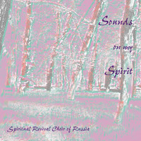 Thumbnail for the Pavel Chesnokov - Liturgy of Saint John Chrysostom, Op. 42: No. 7. It is truly fitting link, provided by host site