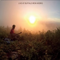 Thumbnail for the Joey Harkum - Live at Buffalo Iron Works link, provided by host site