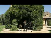 Thumbnail for the JJ Wilde - Live at Paste Studio on the Road: Napa Valley link, provided by host site