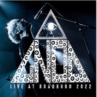 Thumbnail for the Gnod - Live At Roadburn Festival 2022 link, provided by host site