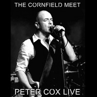 Thumbnail for the Peter Cox - Live at the Cornfield Meet - Peter Cox Live link, provided by host site