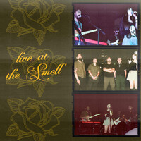 Thumbnail for the Three - live at the Smell link, provided by host site