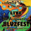 Thumbnail for the Little Mike - Live At the St. Augustine Bluzfest link, provided by host site
