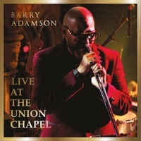 Thumbnail for the Barry Adamson - Live At the Union Chapel link, provided by host site