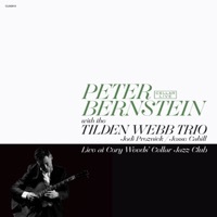 Thumbnail for the Peter Bernstein - Live @ Cory Weeds' Cellar Jazz Club link, provided by host site