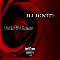 Thumbnail for the Dj Ignite - Live for the Moment link, provided by host site