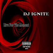 Thumbnail for the Dj Ignite - Live for the Moment link, provided by host site