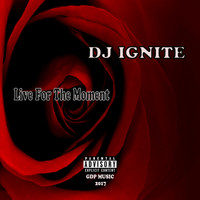 Thumbnail for the Dj Ignite - Live for the Moment link, provided by host site