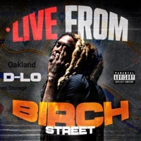 Thumbnail for the D-Lo - Live From Birch Street link, provided by host site