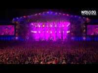 Thumbnail for the The Qemists - Live - Hurt Less - Woodstock 2012 link, provided by host site