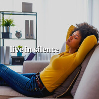 Thumbnail for the Relaxing Music - Live in Silence link, provided by host site