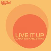 Thumbnail for the DJ Pope - Live It Up link, provided by host site