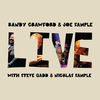 Thumbnail for the Randy Crawford - Live (with Steve Gadd & Nicklas Sample) link, provided by host site