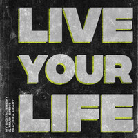 Thumbnail for the My Digital Enemy - Live Your Life link, provided by host site