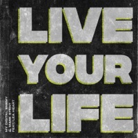 Thumbnail for the My Digital Enemy - Live Your Life link, provided by host site