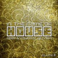 Thumbnail for the Deep Voice - Live Your Life - Deep Soul Remix link, provided by host site