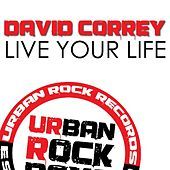 Thumbnail for the David Correy - Live Your Life link, provided by host site