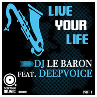 Thumbnail for the DJ Le Baron - Live Your Life (Part I) link, provided by host site