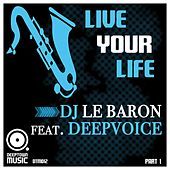 Thumbnail for the DJ Le Baron - Live Your Life (Part I) link, provided by host site