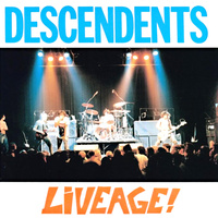 Thumbnail for the Descendents - Liveage! link, provided by host site