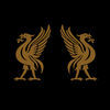Thumbnail for the Joey Cape - Liverbirds link, provided by host site