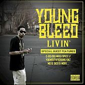 Thumbnail for the Young Bleed - Livin' link, provided by host site