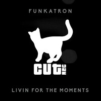 Thumbnail for the Funkatron - Livin' for the Moments link, provided by host site