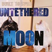 Thumbnail for the Built to Spill - Living Zoo link, provided by host site