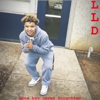 Thumbnail for the Preme - LLD (Long Live Debo) link, provided by host site