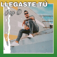 Thumbnail for the Jey D - LLEGASTE TÚ link, provided by host site