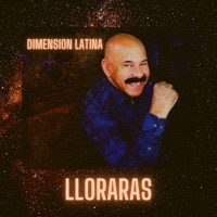 Thumbnail for the Dimension Latina - Lloraras link, provided by host site