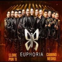 Thumbnail for the Euphoria - Llore por Ti / Camino Negro link, provided by host site