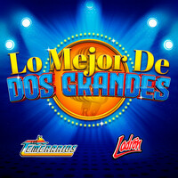 Thumbnail for the Los Temerarios - Lo Mejor De Dos Grandes link, provided by host site