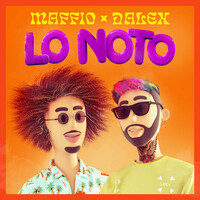 Thumbnail for the Maffio - Lo Noto link, provided by host site